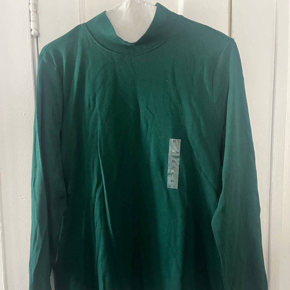 Karen Scott Turtle Neck